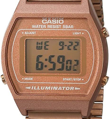 RELOJ CASIO