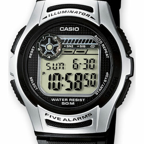 RELOJ CASIO