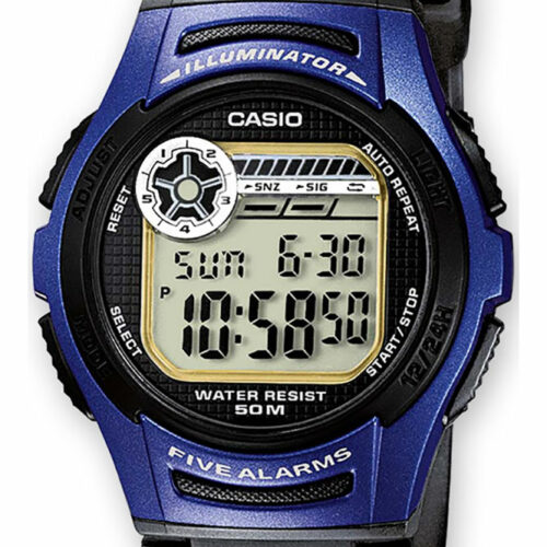 RELOJ CASIO