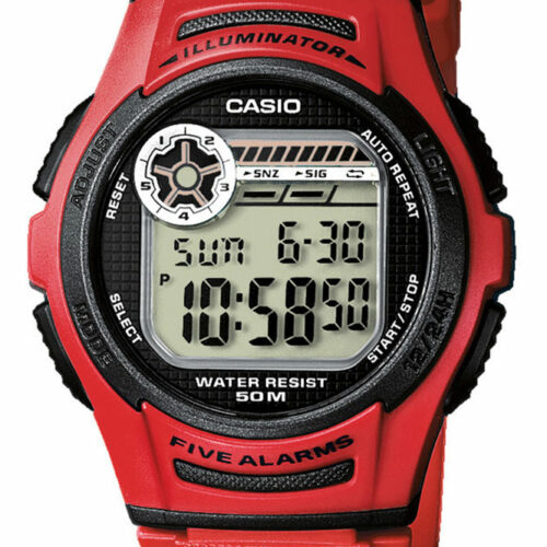 RELOJ CASIO