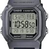 RELOJ CASIO