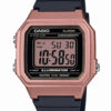 RELOJ CASIO