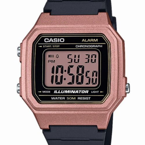 RELOJ CASIO