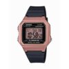 RELOJ CASIO