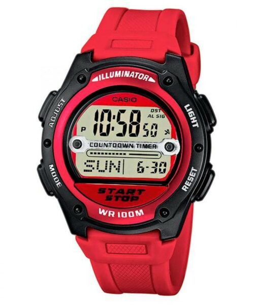 RELOJ CASIO