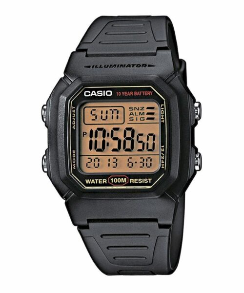 RELOJ CASIO