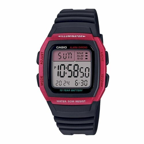 RELOJ CASIO